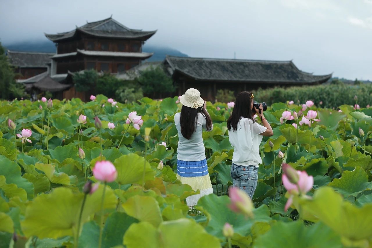 2020暑期?騰沖研學(xué)：打卡邊境小城，與自然對(duì)話！