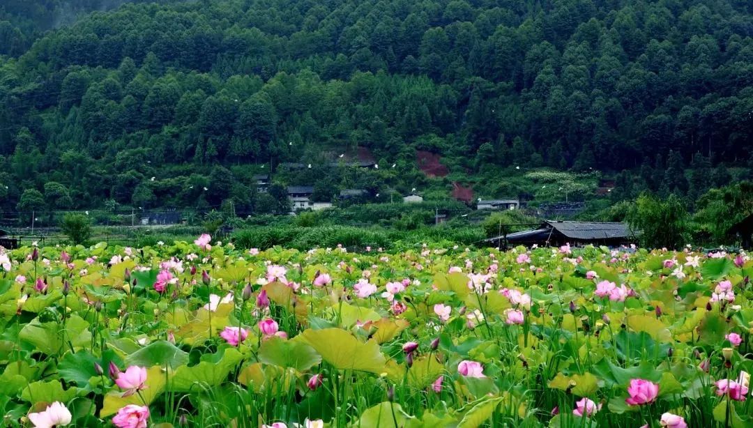 暑假口才夏令營讓孩子流利的表達(dá)出自己的理想