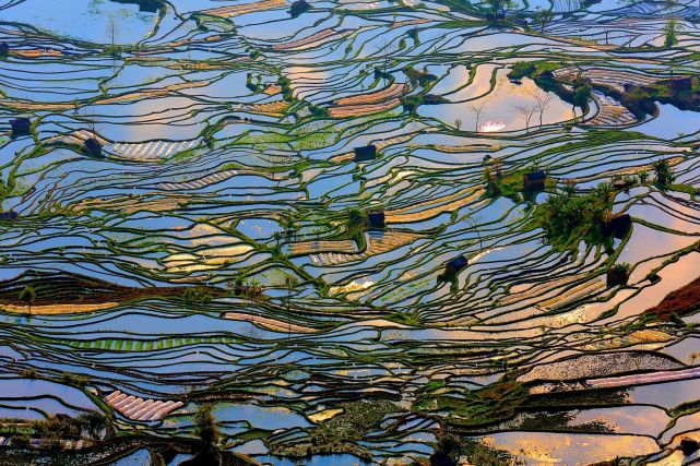 暑假想去云南旅游，有哪些旅游城市可以推薦