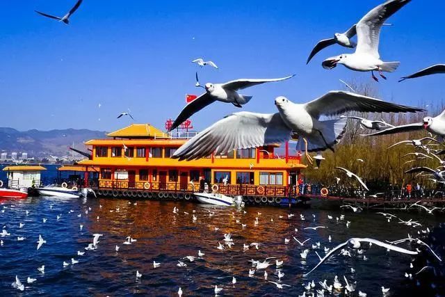 云南品質游旅行社推薦，云南旅游選擇品質旅游有什么優(yōu)點