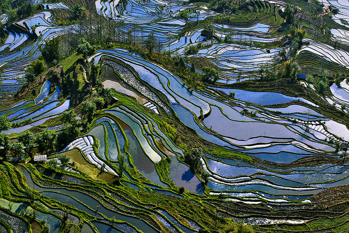 云南元陽(yáng)梯田的最佳攝影旅游時(shí)間