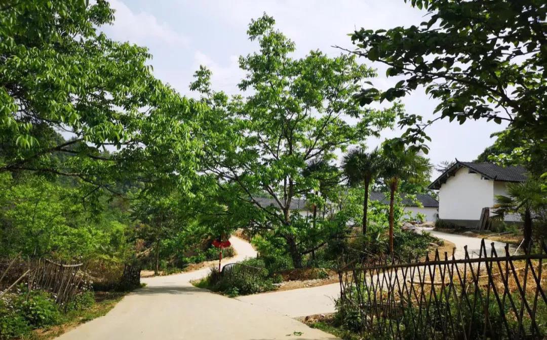 云南鄉(xiāng)村旅游，“玩”出特色！德宏：打好發(fā)展組合拳