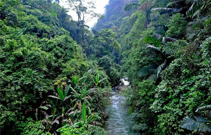 綠水河 綠水河