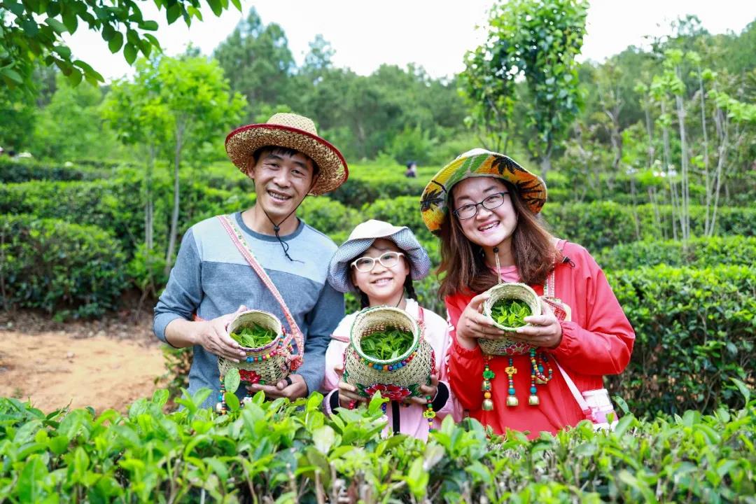 什么顏色最夏天？ 當(dāng)然是郁郁蔥蔥的綠色，周末帶著孩子體驗(yàn)最盎然的綠意