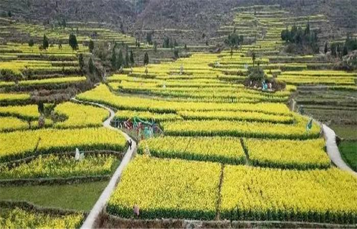 鄉(xiāng)村旅游 鄉(xiāng)村旅游
