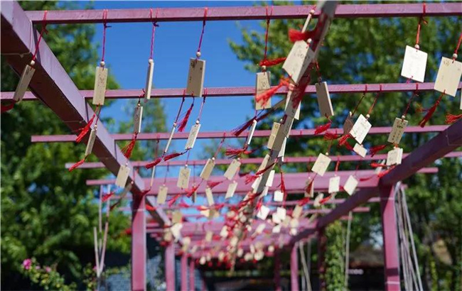 賞花親水、荷塘野趣……楚雄東華濕地公園許你一個(gè)繽紛夏日