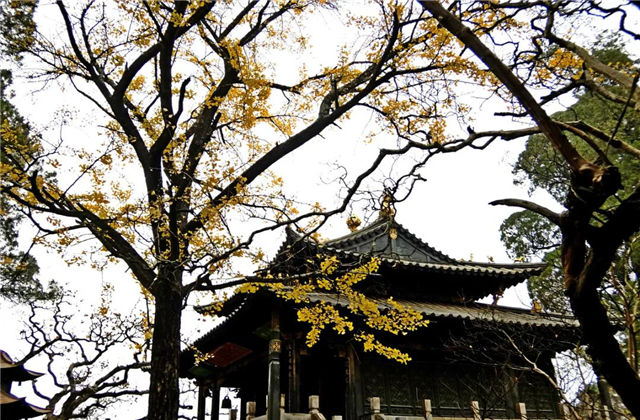 云南傳媒公司：在云南，聽說古鎮(zhèn)和秋天更配