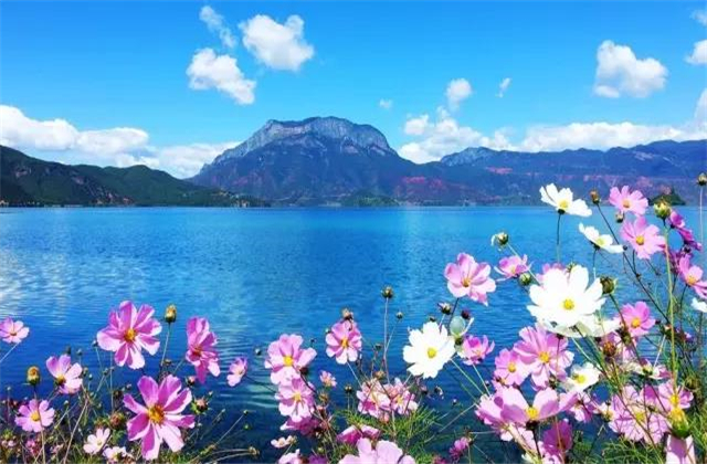 云南旅拍地推薦：七月的瀘沽湖，竟然可以美成這樣！
