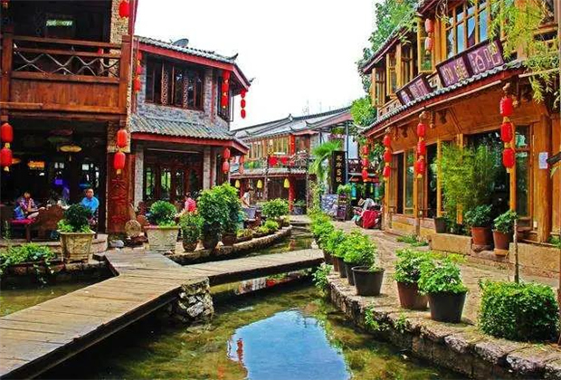 云南傳媒公司：云南的冬天：溫暖如春，鮮花盛開