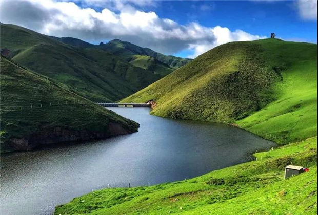 云南露營場地：夏天的大海草山，已經(jīng)美成了天堂！