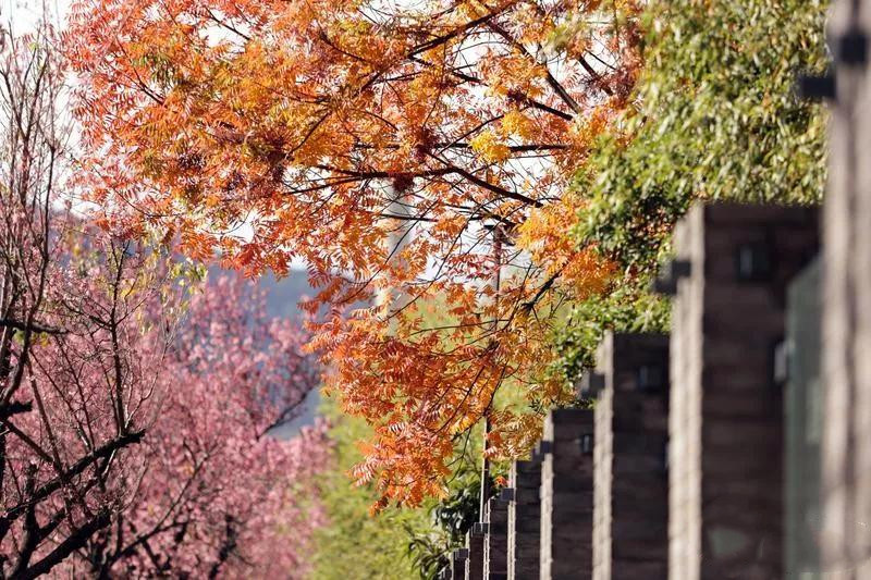 昆明紅塔西路 昆明紅塔西路