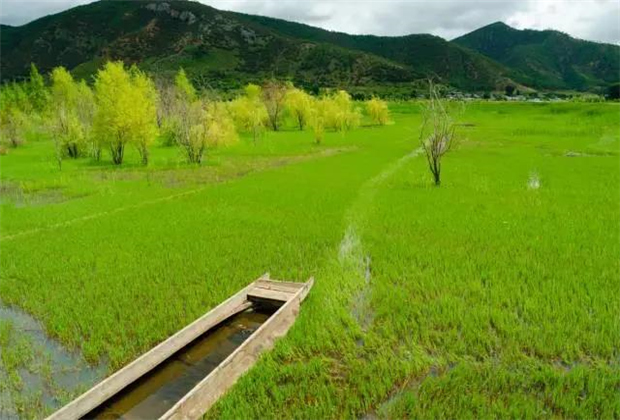 云南會展策劃：關于瀘沽湖的好風景，都想與你分享！