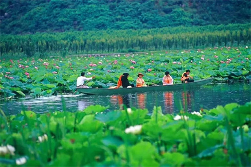 2022普者黑夏令營：山水田園，萬畝荷花游學，探訪彝族古村，感知民族文化！