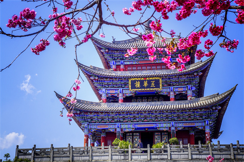 疫情過后，給自己來一場放縱的旅行...麗江的夏天愿你更美！