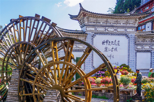 云南麗江老君山，實(shí)在太美了，遠(yuǎn)赴麗江驚鴻宴美哉！