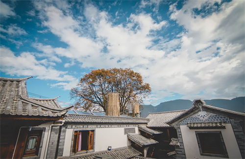 春節(jié)云南特輯 | 人少景美！春節(jié)云南旅游線路推薦三