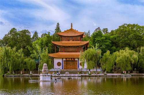 春暖四時(shí)，花開(kāi)昆明，感受春城初春之美！
