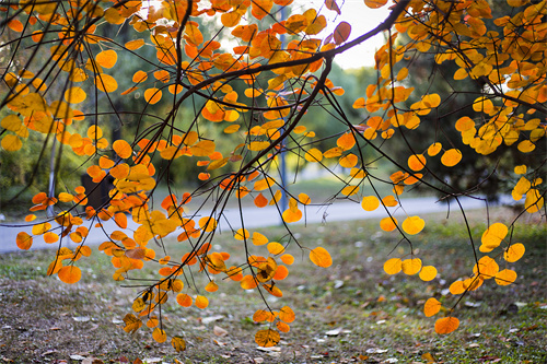 云南文創(chuàng)雪糕火出圈，“雪糕+景點(diǎn)”網(wǎng)紅式打卡驚靚一夏！