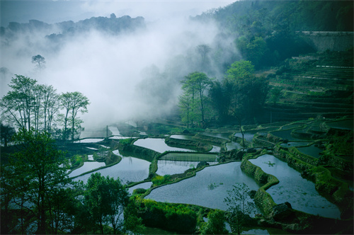 鄉(xiāng)村健康養(yǎng)生產(chǎn)業(yè)的客戶群體有哪些？它有什么開發(fā)要點？