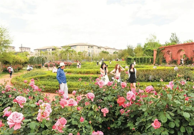 云南旅游,云南旅行社,云南團(tuán)建公司,云南策劃公司,云南會議公司,昆明旅游,昆明旅行社,昆明團(tuán)建公司,昆明策劃公司,昆明會議執(zhí)行：旅居昆明，在花海里通關(guān)四季！花歷正在更新，等你來簽收春天→